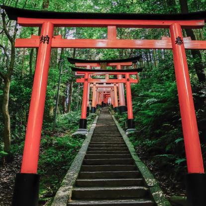 Circuit au Japon : Couleurs d'Automne